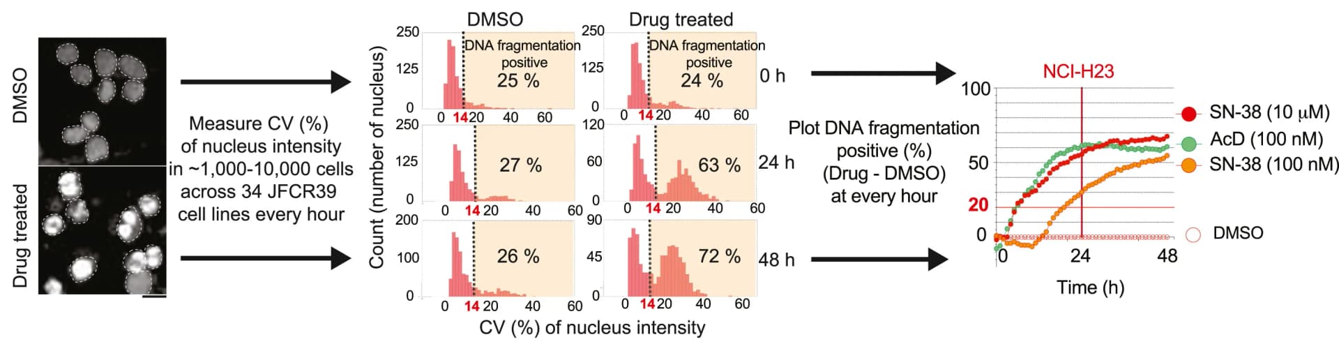 Open access visualization of Microscopy, Line Plot, Density Plot, Apoptosis, Drug Treatments