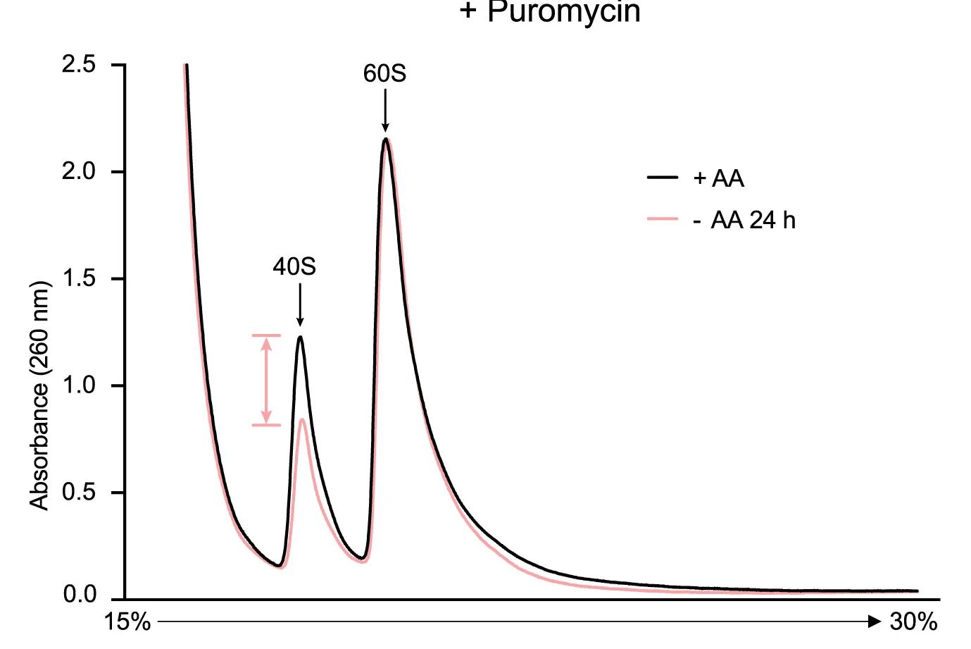 Open access visualization of Line Plot, Error Bars, Absorbance, Sucrose Gradients, Puromycin
