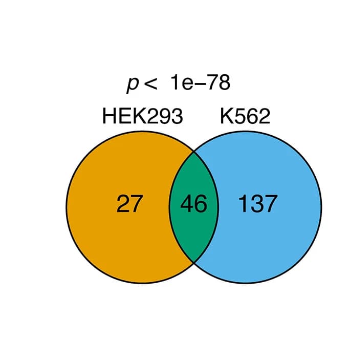 Open access visualization of Venn Diagram, Significant Associations, HEK293, K562, Hypergeometric Test