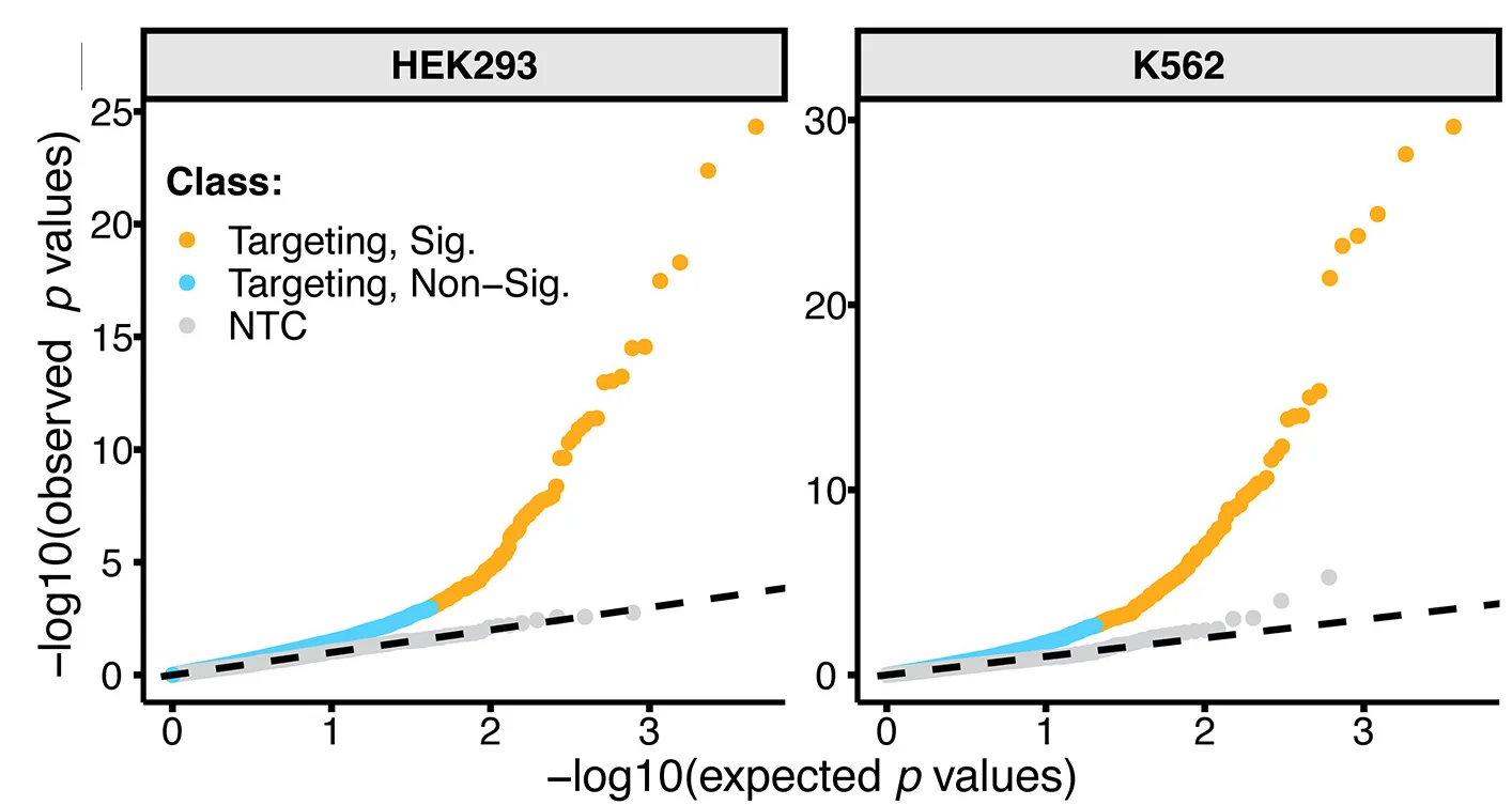 Open access visualization of Scatter Plot, Regression Plot, Quantile-quantile Plots, HEK293, K562