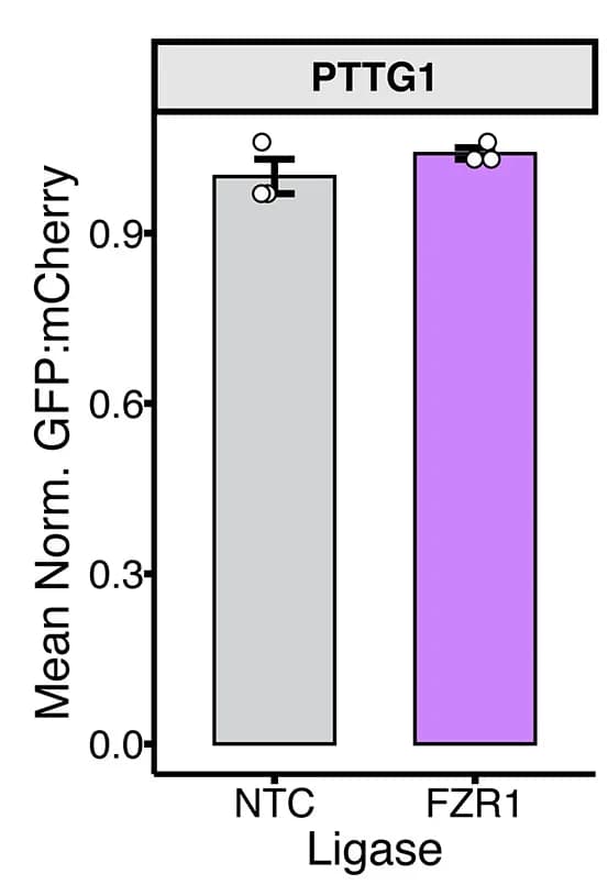 Open access visualization of Bar Plot, Error Bars, Validation, FZR1, Knockout