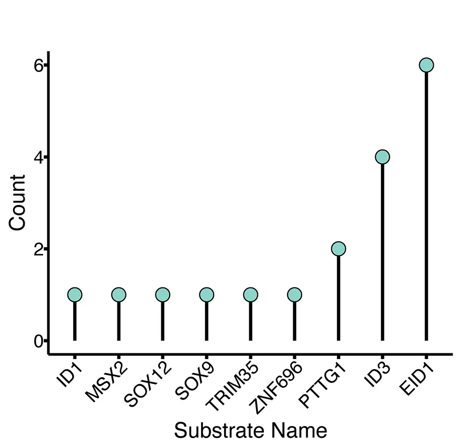 Open access visualization of Bar Plot, Lollipop Plot, ORFs, Interactions