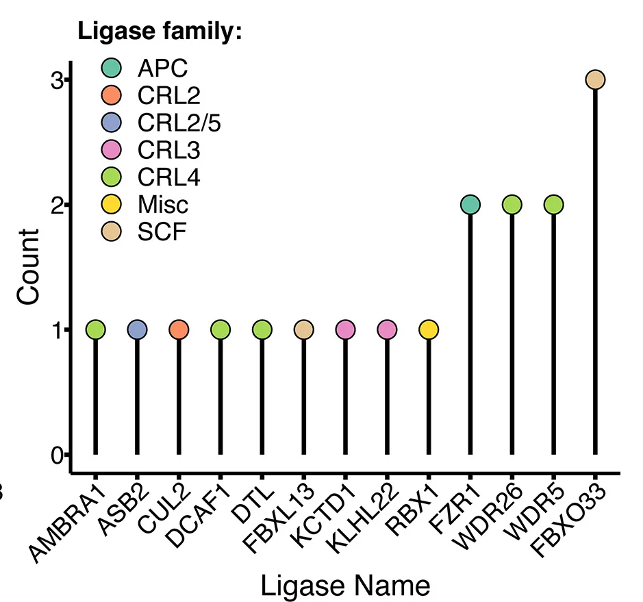 Open access visualization of Bar Plot, Error Bars, Lollipop Plot, E3 Perturbations, Interactions