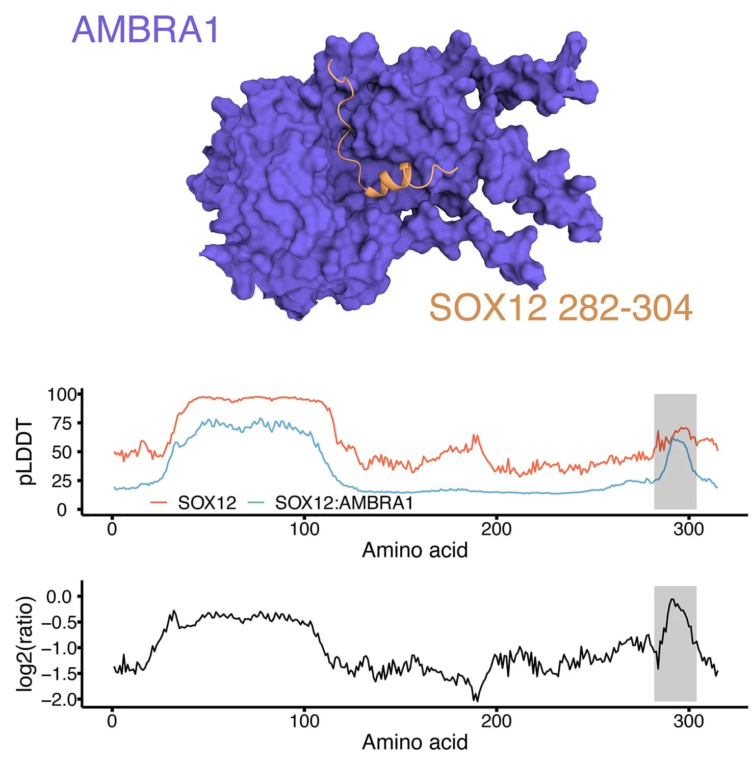 Open access visualization of Protein Structure, Line Plot, AMBRA1, SOX12, E3-substrate Pairs