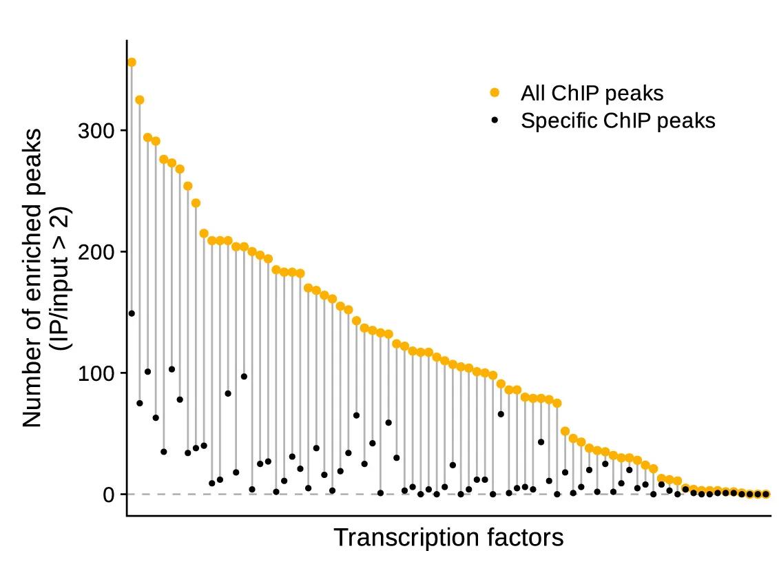 Open access visualization of Scatter Plot, ChIP Peaks, Transcription Factors, IP/Input Ratio