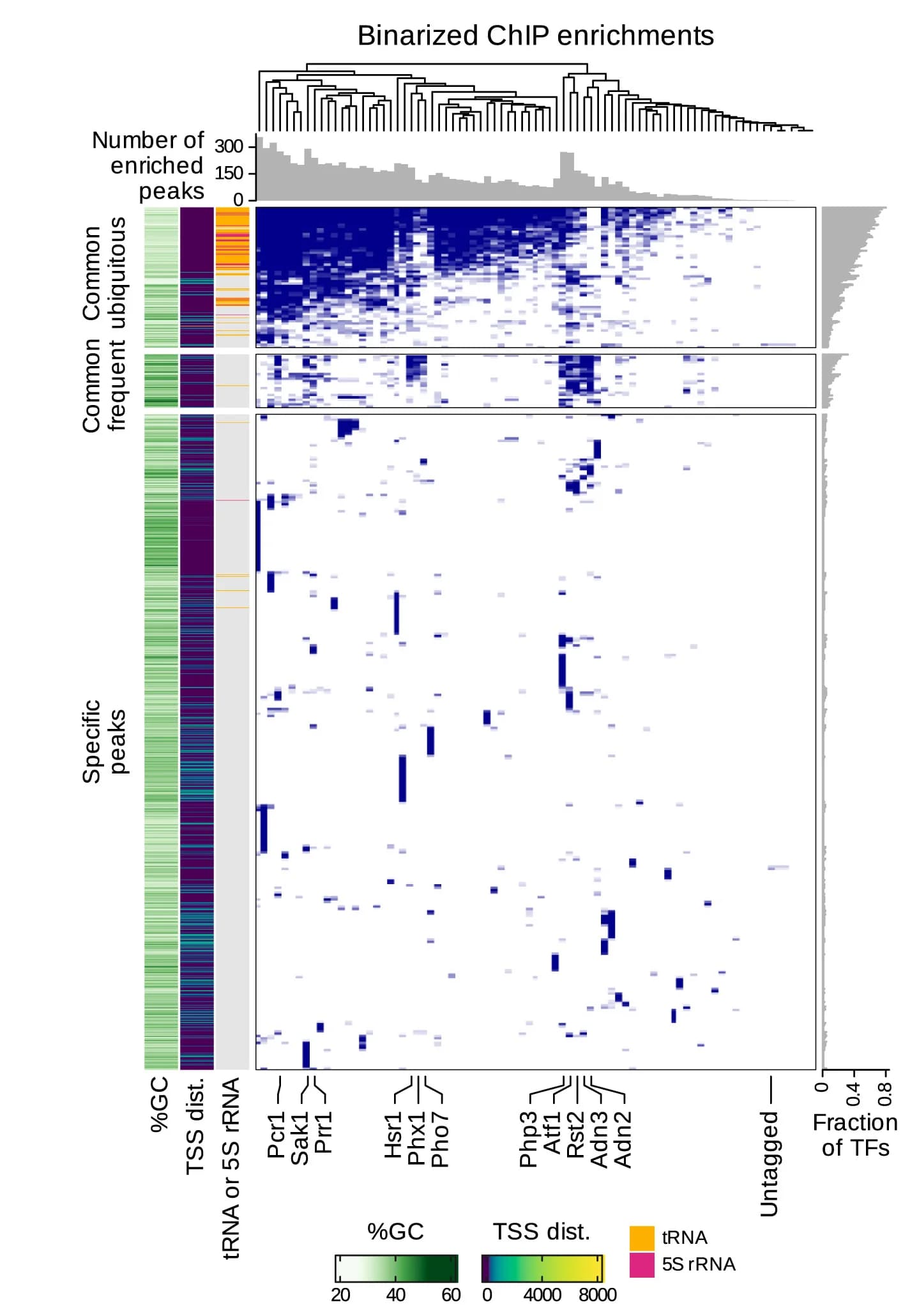 Open access visualization of Heatmap, Clustered, Bar Plot, Histogram, ChIP