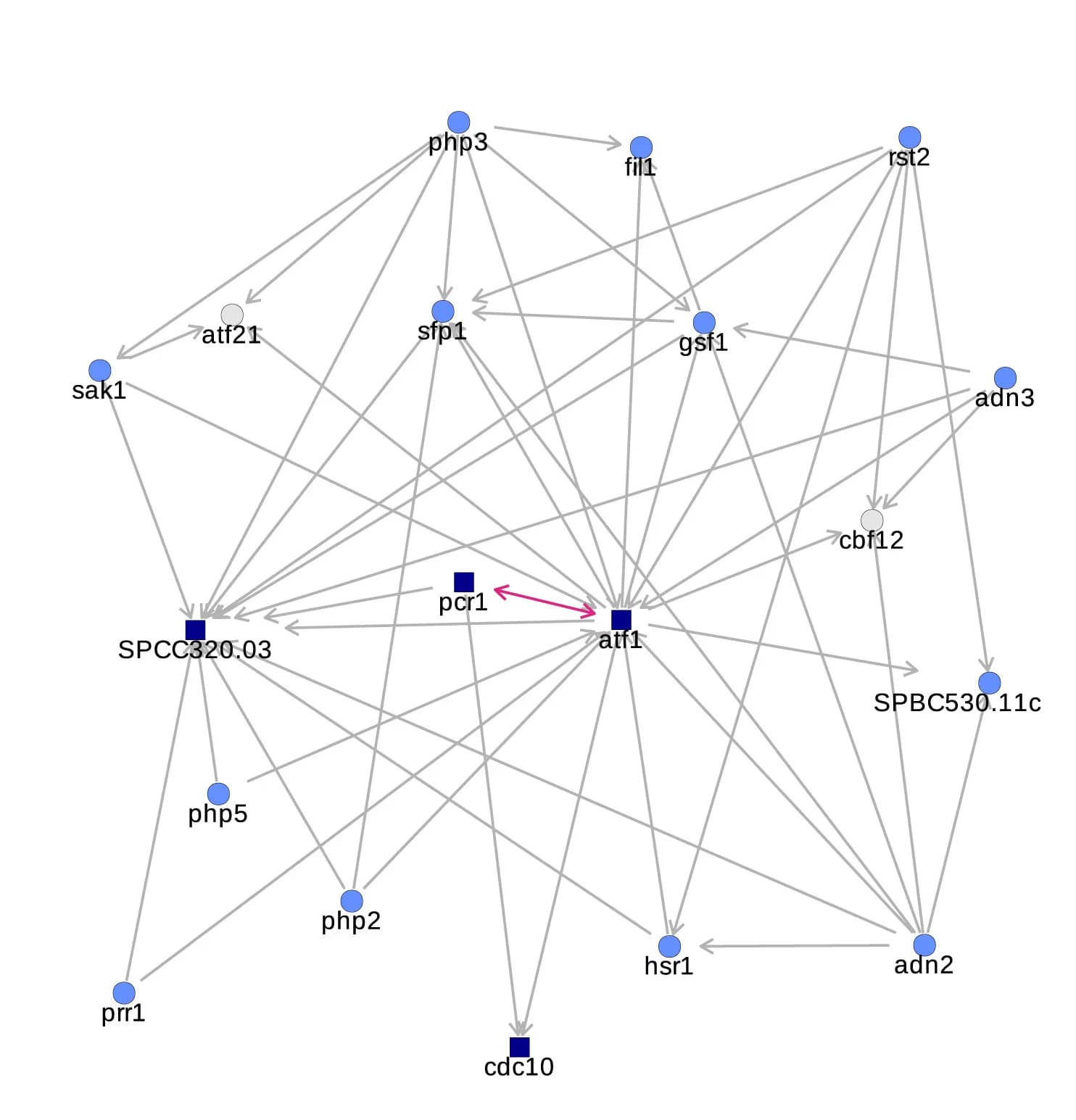 Open access visualization of Network, Pathway, Atf1, TF, Promoter Binding