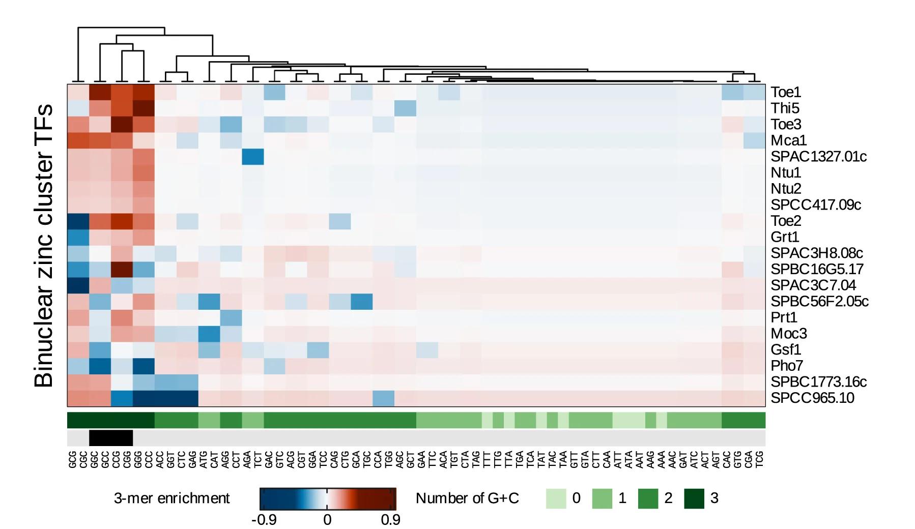 Open access visualization of Heatmap, Clustered, ChIP Peaks, Zinc Cluster TFs, GC Content