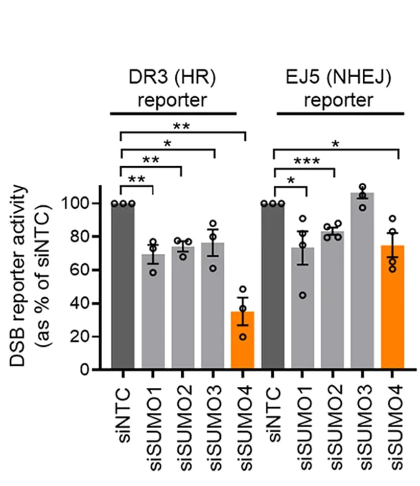 Open access visualization of Bar Plot, Error Bars, Homologous Recombination, Non-Homologous End-Joining, Reporter Cells