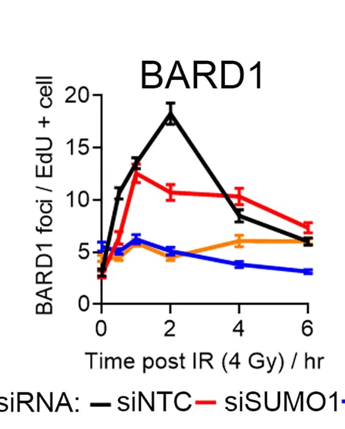 Open access visualization of Line Plot, Error Bars, BARD1 Foci, Cells, siRNA