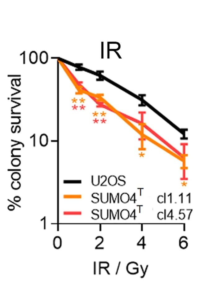 Open access visualization of Line Plot, Error Bars, Colony Assay, Parental Cells, SUMO4