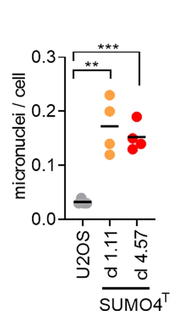 Open access visualization of Scatter Plot, Error Bars, Micronuclei, Cells, IR