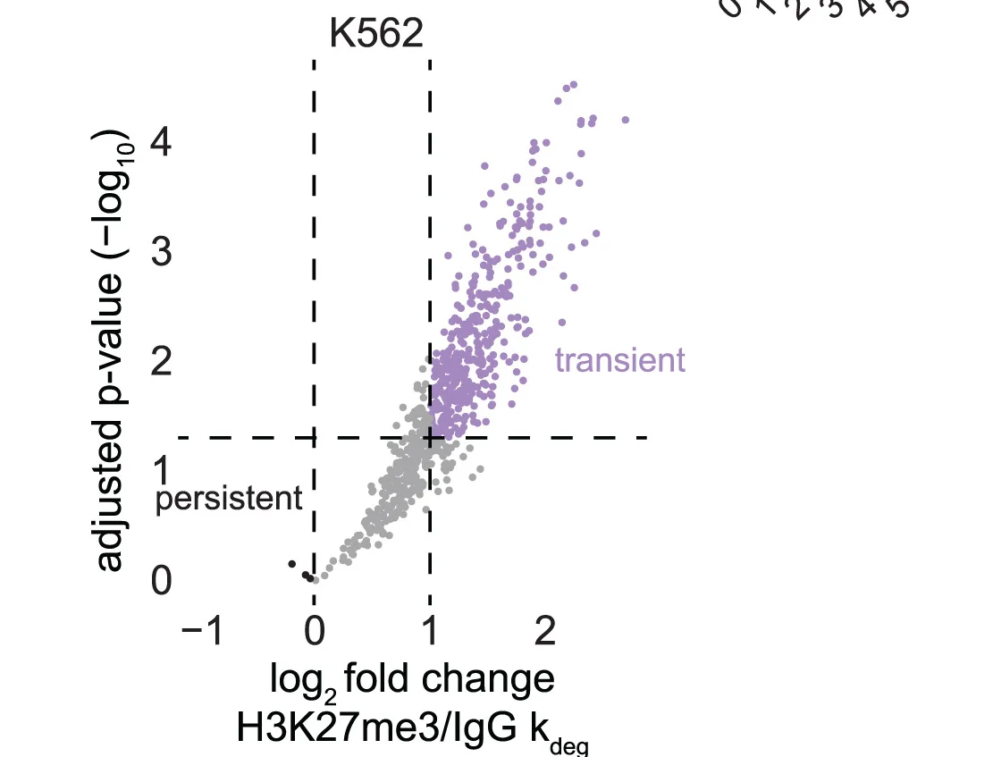 Open access visualization of Scatter Plot, Volcano Plots, Kinetic Analysis, Polycomb Mark, Transcripts