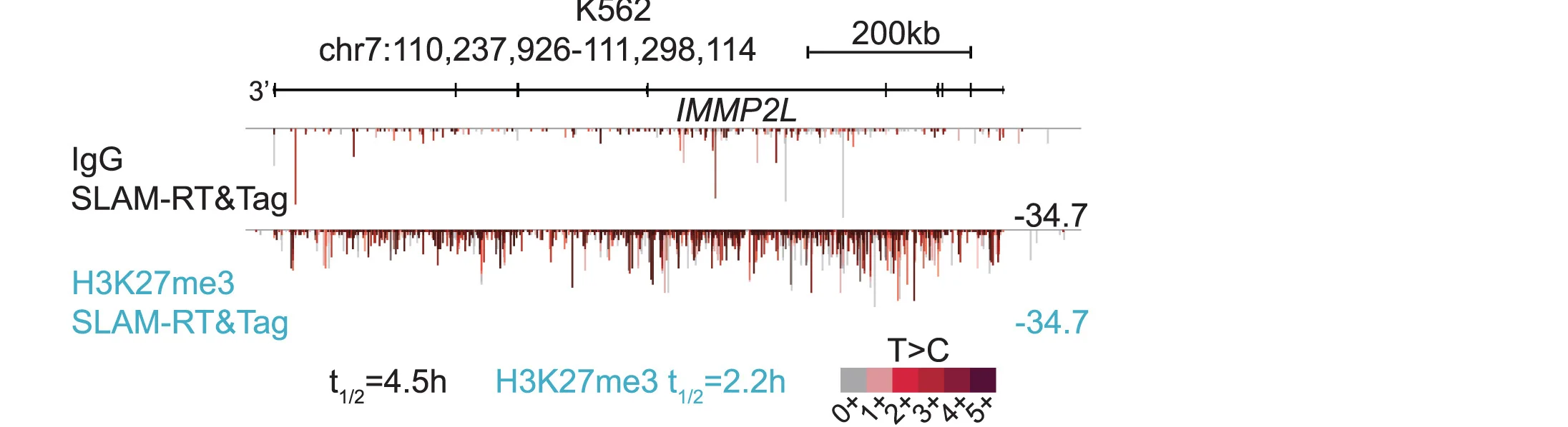 Open access visualization of Bar Plot, Genome Track, IgG, H3K27me3, SLAM-RT&Tag
