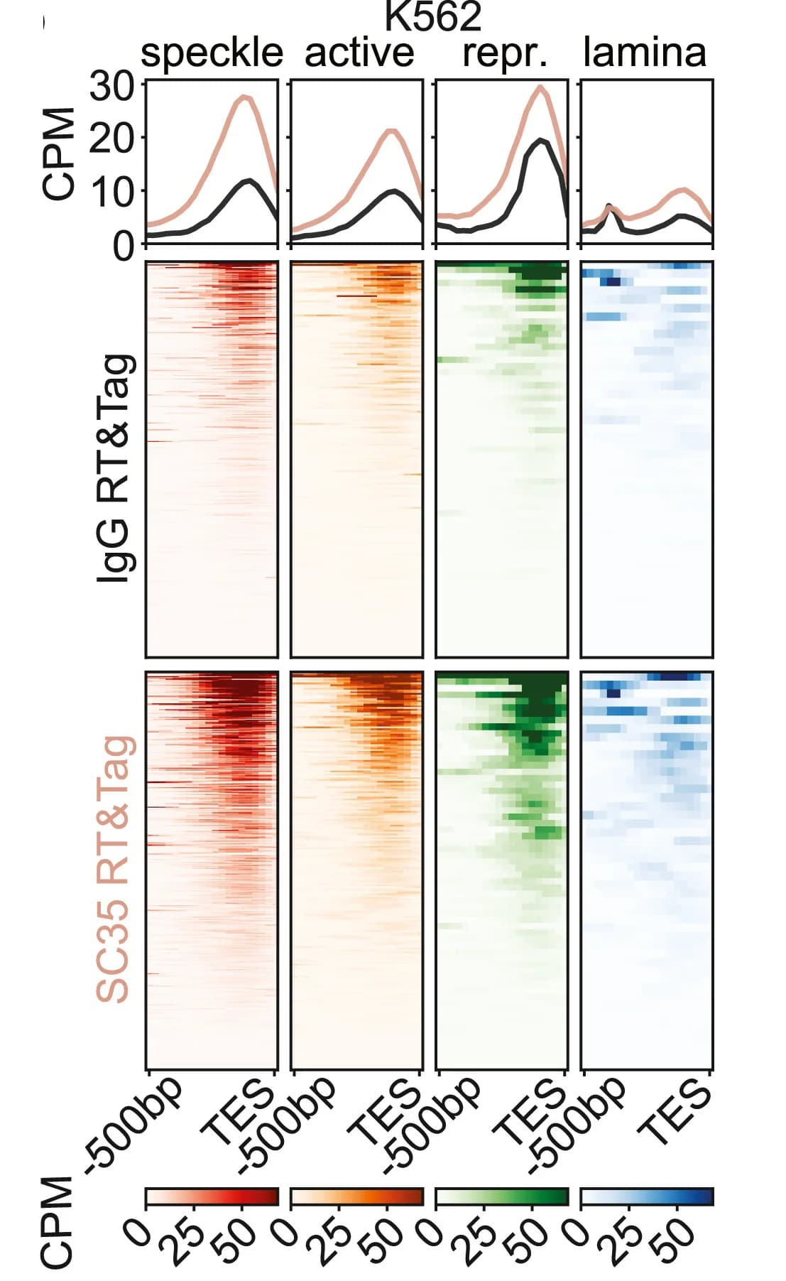 Open access visualization of Heatmap, Line Plot, Heatmaps, IgG, SC35