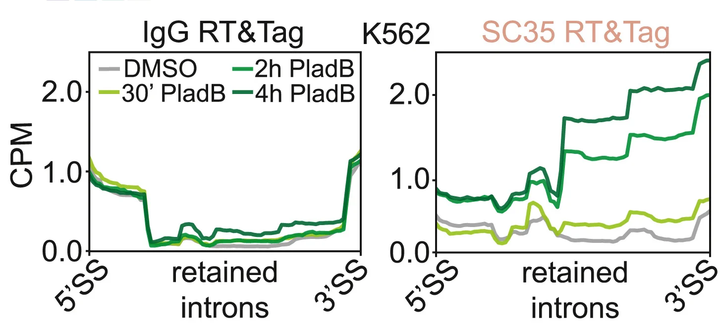 Open access visualization of Line Plot, Line Step, Profile Plots, IgG, SC35
