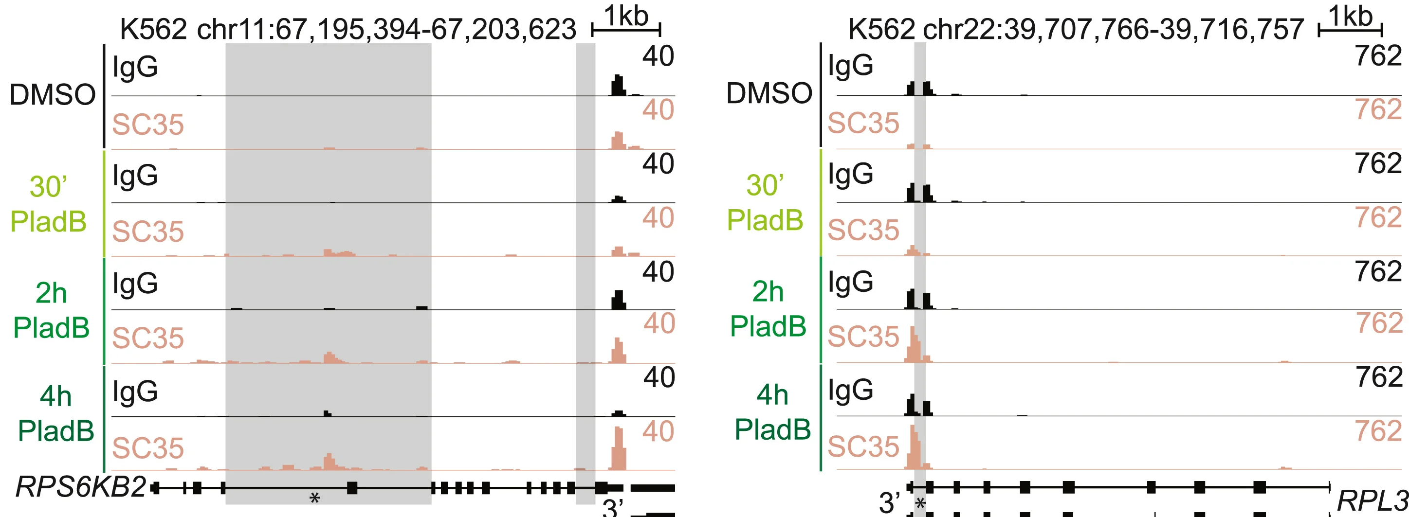 Open access visualization of Line Plot, Genome Tracks, IgG, SC35, RT&Tag Signal