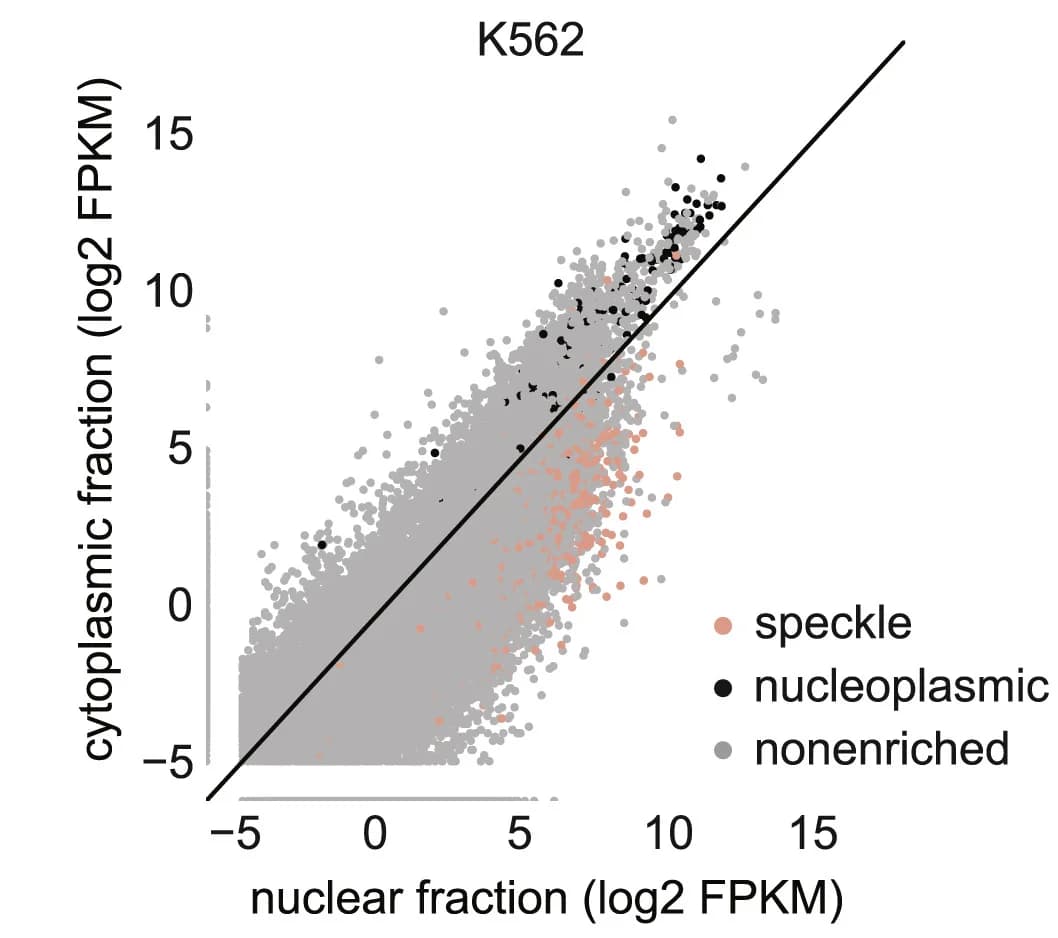 Open access visualization of Scatter Plot, Regression Plot, Correlation Plot, Transcript Levels, Nuclear Fraction