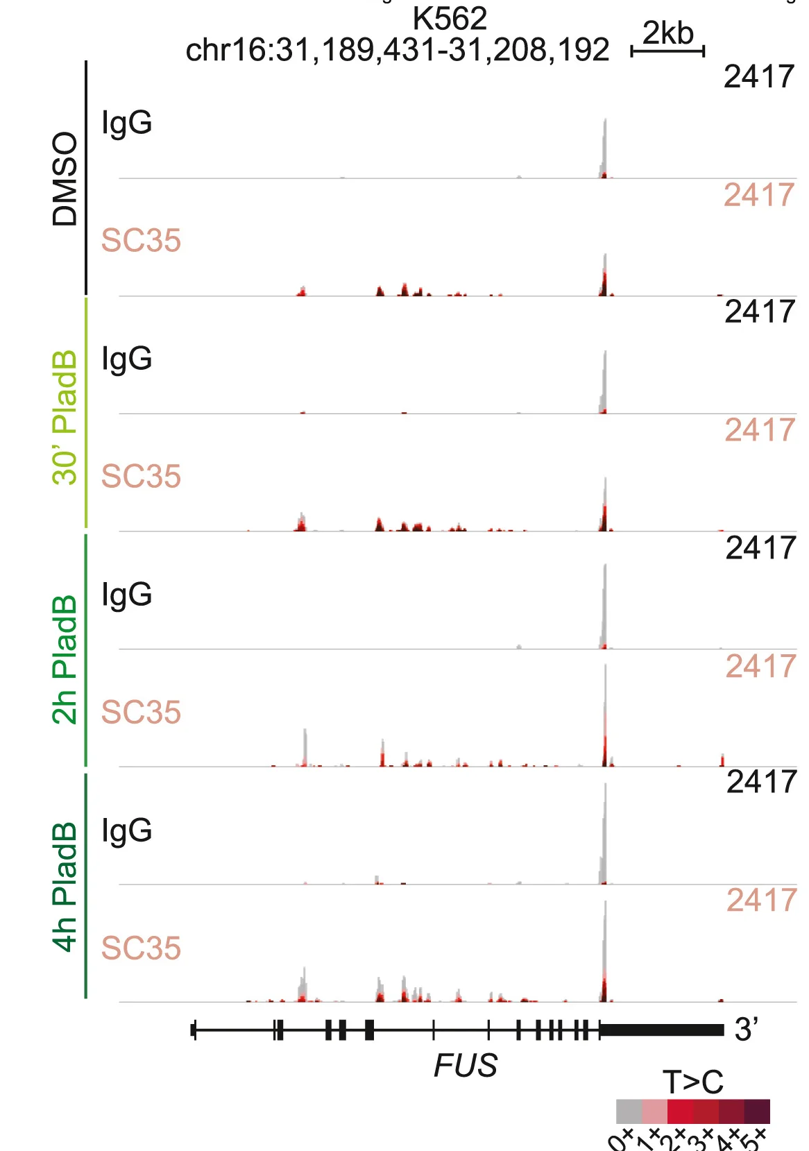 Open access visualization of Line Plot, Genome Track, IgG, SC35, SLAM-RT&Tag