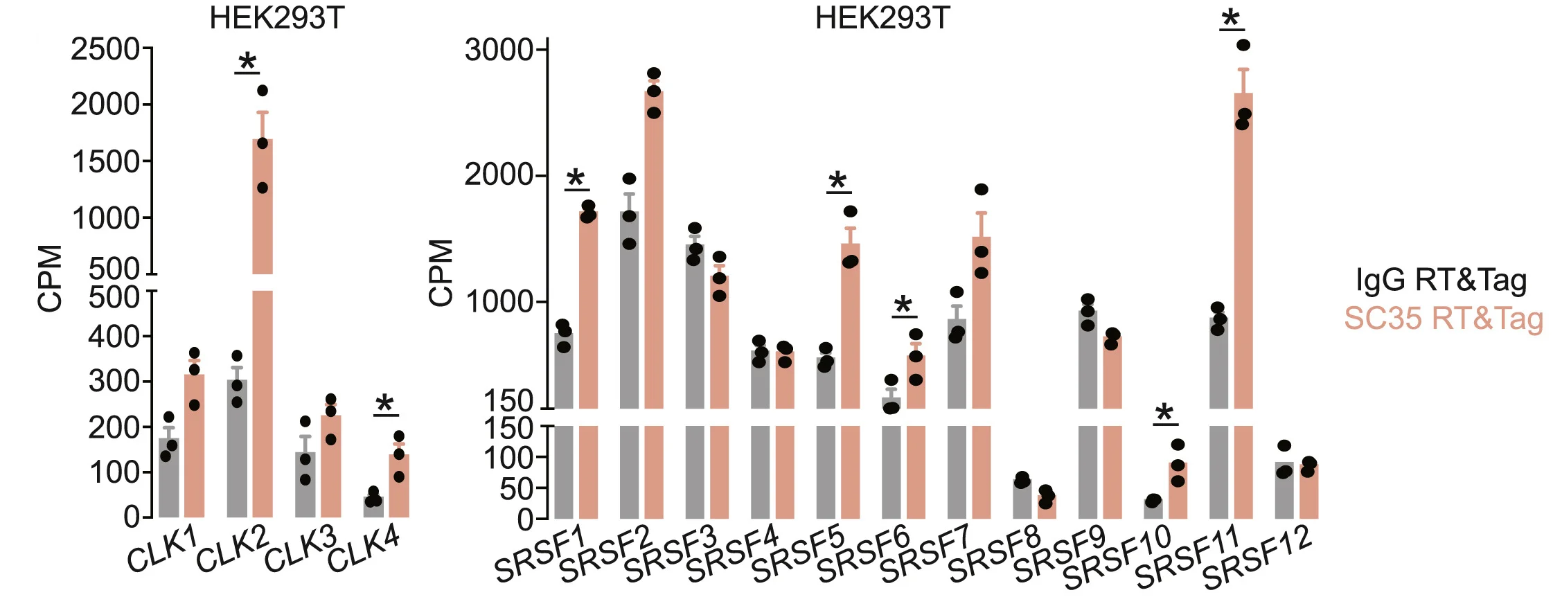 Open access visualization of Bar Plot, Error Bars, Clustered, IgG, SC35