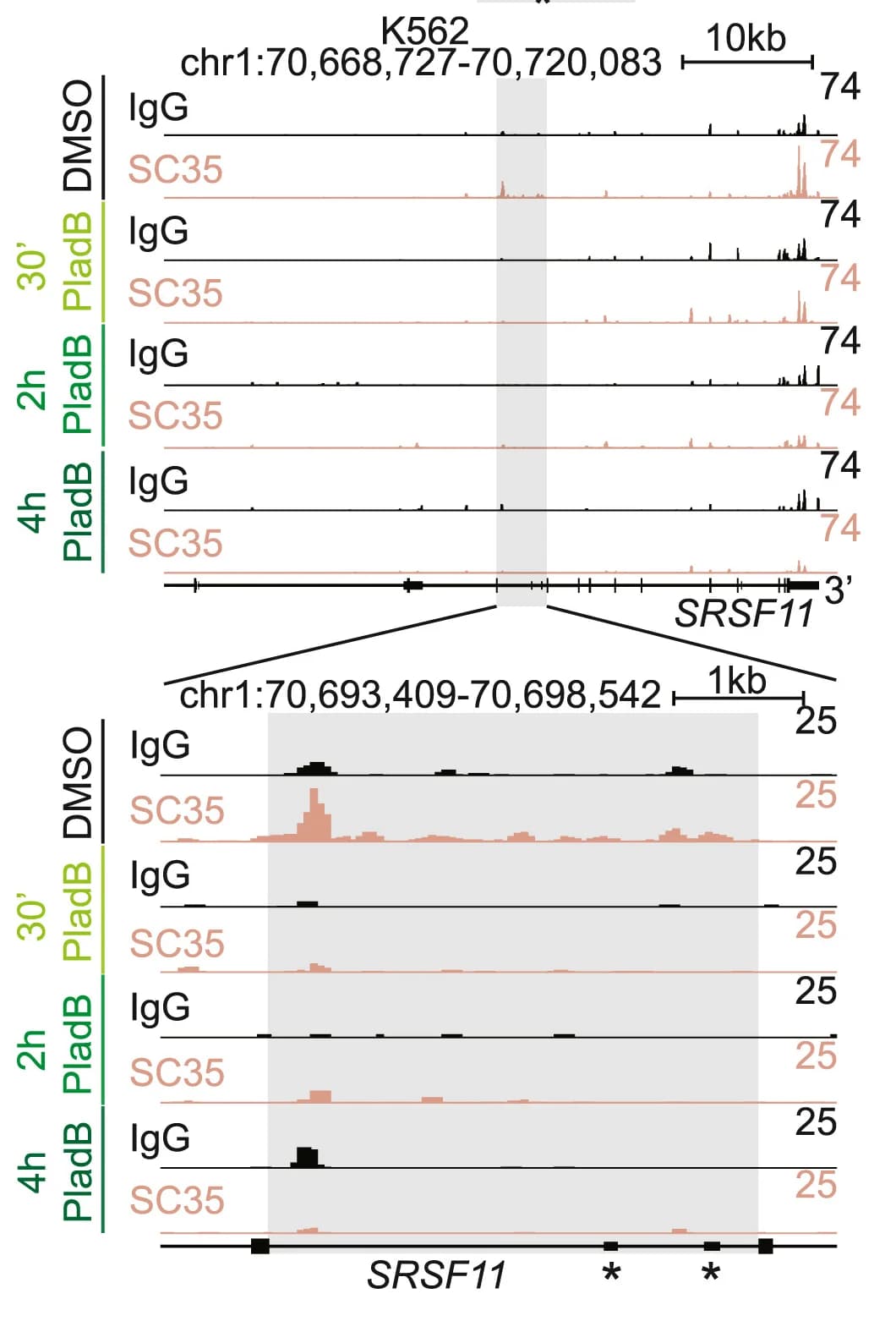 Open access visualization of Line Plot, Genome Track, IgG, SC35, RT&Tag