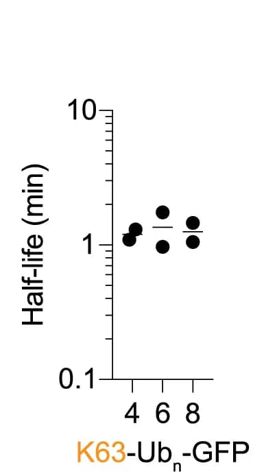 Open access visualization of Scatter Plot, Deubiquitination, Half-Lives