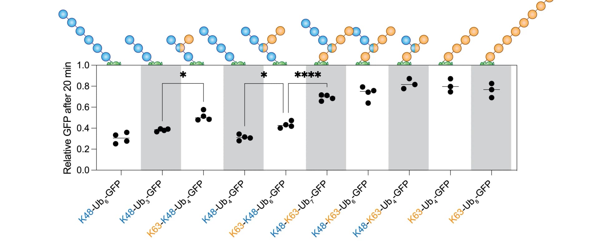 Open access visualization of Scatter Plot, Error Bars, GFP, Cellular Degradation, Ubiquitin Chains