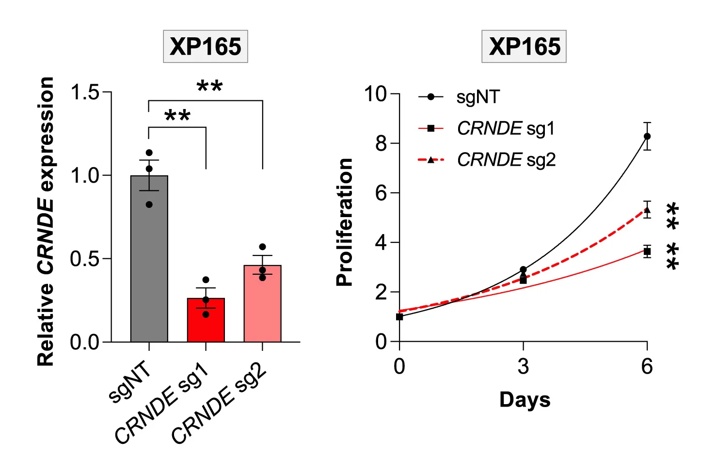 Open access visualization of Bar Plot, Line Plot, Error Bars, RT-qPCR Analysis, CRNDE Expression