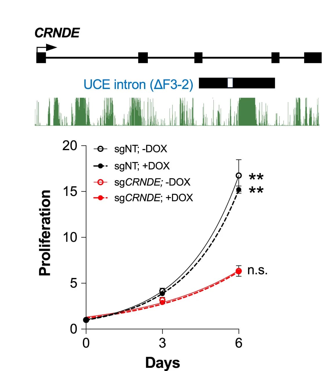 Open access visualization of Line Plot, Error Bars, Proliferation, 786-O CRISPRi Cells, sgRNAs