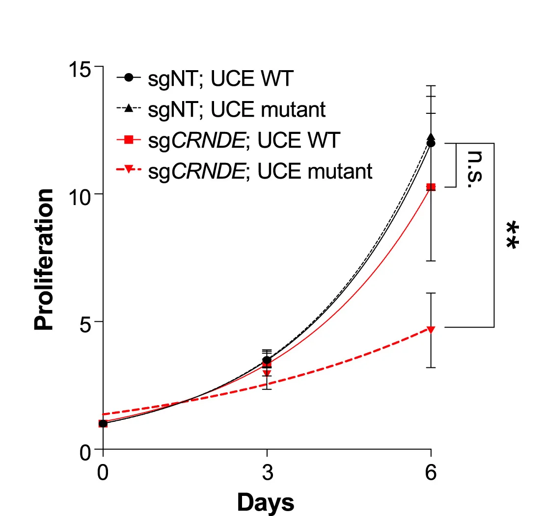 Open access visualization of Line Plot, Error Bars, Proliferation, Ribosomal Subunit Levels, Sucrose Gradient Ultracentrifugation