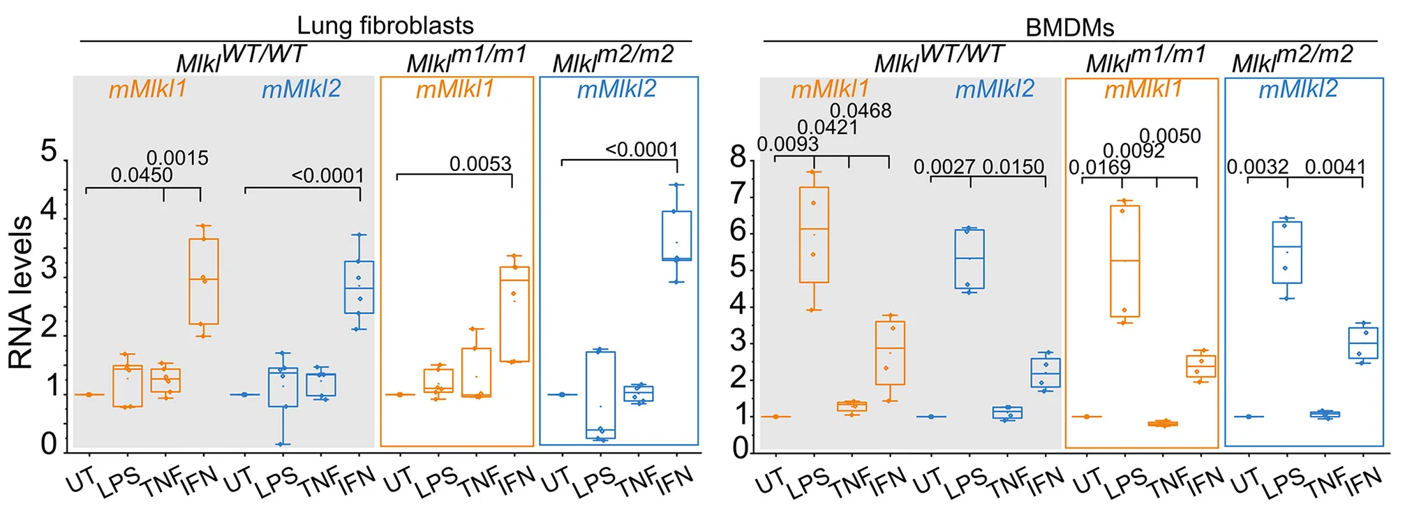 Open access visualization of Box Plot, mRNA Levels, mMLKL1, mMLKL2, Lung Fibroblasts