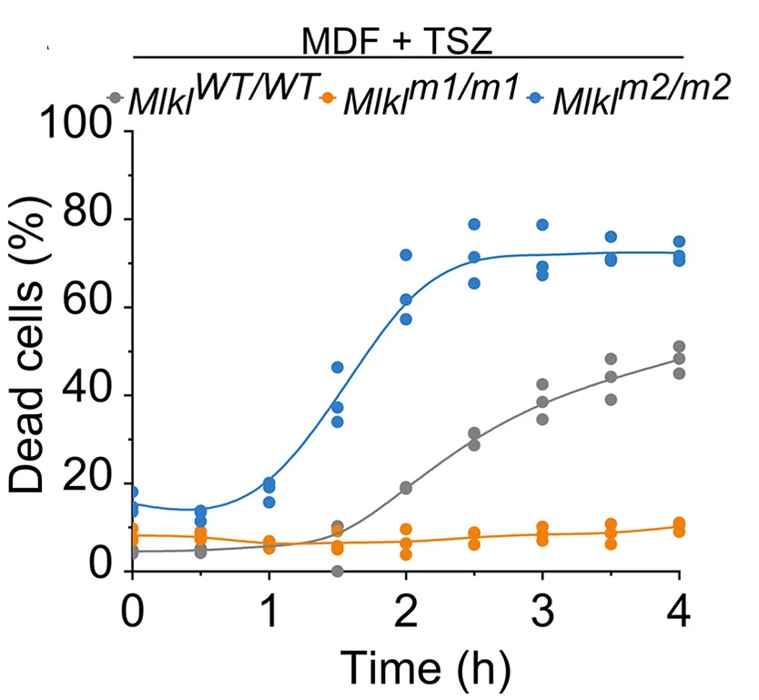 Open access visualization of Line Plot, Scatter Plot, Cell Death, MDF Cells, Isoforms