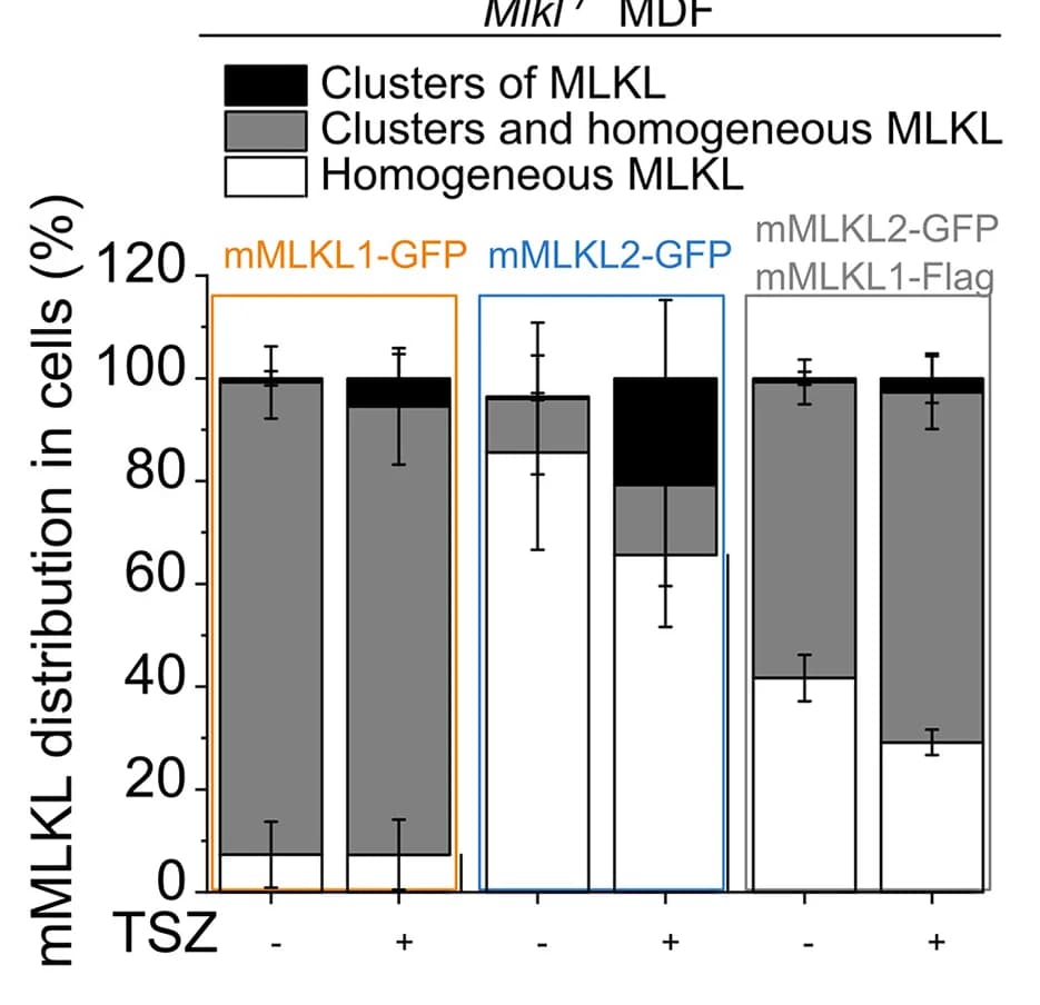 Open access visualization of Stacked Bar Plot, Error Bars, MLKL, Cell Distribution