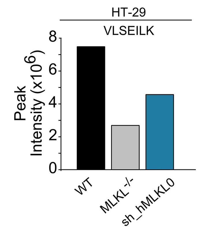 Open access visualization of Bar Plot, VLSEILK Peptide, hMLKL0 Isoform, HT-29 Cells, shRNA