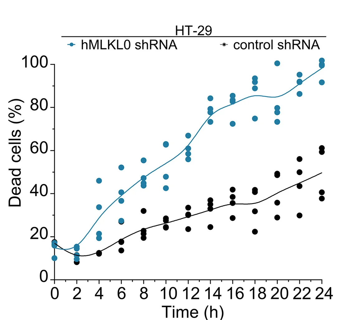 Open access visualization of Line Plot, Scatter Plot, hMLKL0 Knockdown, Necroptosis Sensitivity, HT-29 Cells