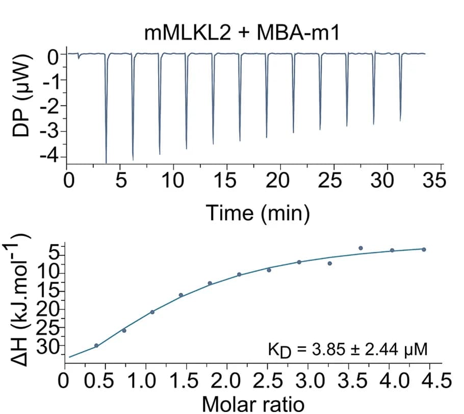 Open access visualization of Line Plot, Line Step, Scatter Plot, ITC Curves, Recombinant mMLKL2