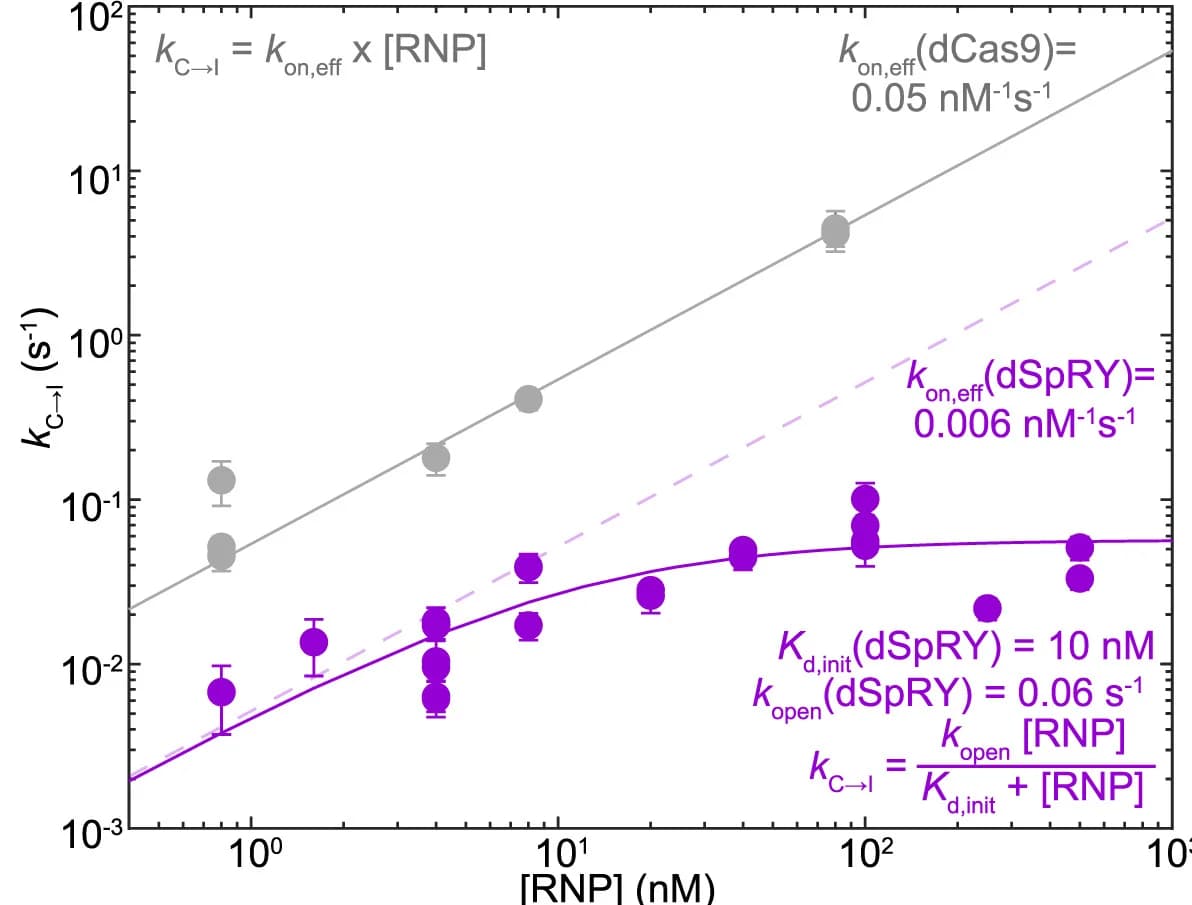 Open access visualization of Scatter Plot, Line Plot, Error Bars, kC->I, RNP