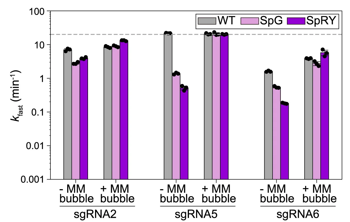 Open access visualization of Bar Plot, Clustered, Error Bars, Bar Graph, Fast-Phase Rate Constant