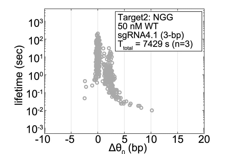 Open access visualization of Scatter Plot, Scatter Plots, Unwinding Lifetime, DNA Tethers