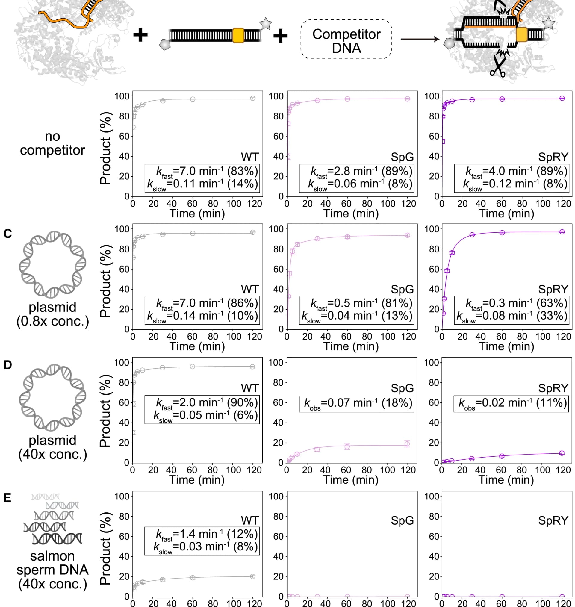 Open access visualization of Line Plot, Error Bars, Time Course Analysis, DNA Cleavage Products, sgRNA2