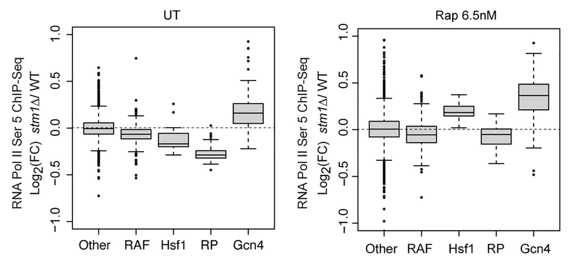 Open access visualization of Box Plot, Box Plots, RNA Pol II Ser5 Occupancy, Ribosomal Protein Genes, Ribosome Biogenesis Genes