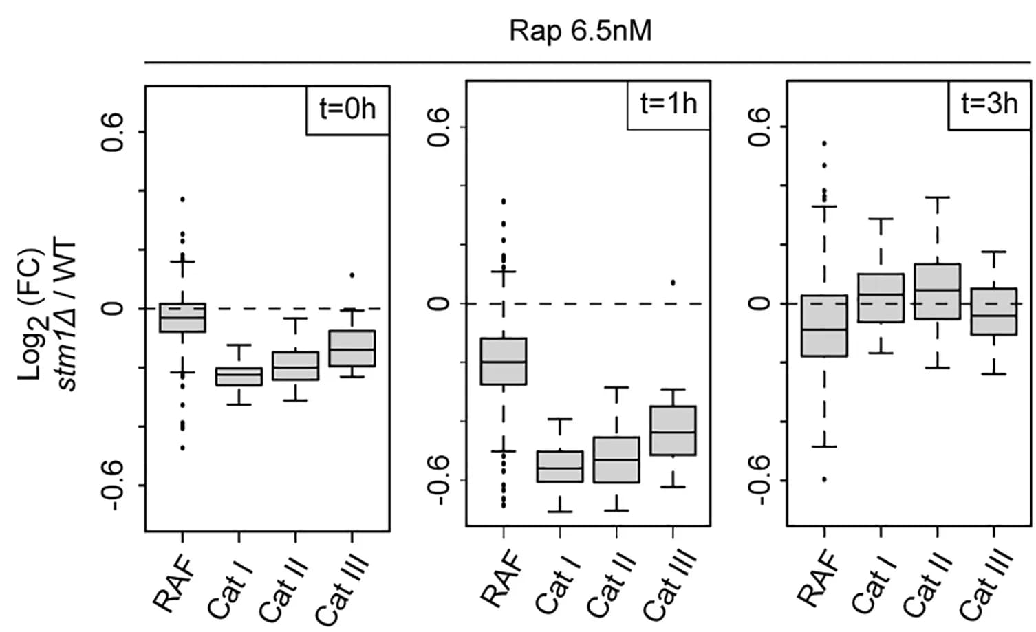 Open access visualization of Box Plot, Box Plots, RNA Pol II Ser5 Occupancy, Ribosome Assembly Factors, Ribosomal Protein Genes