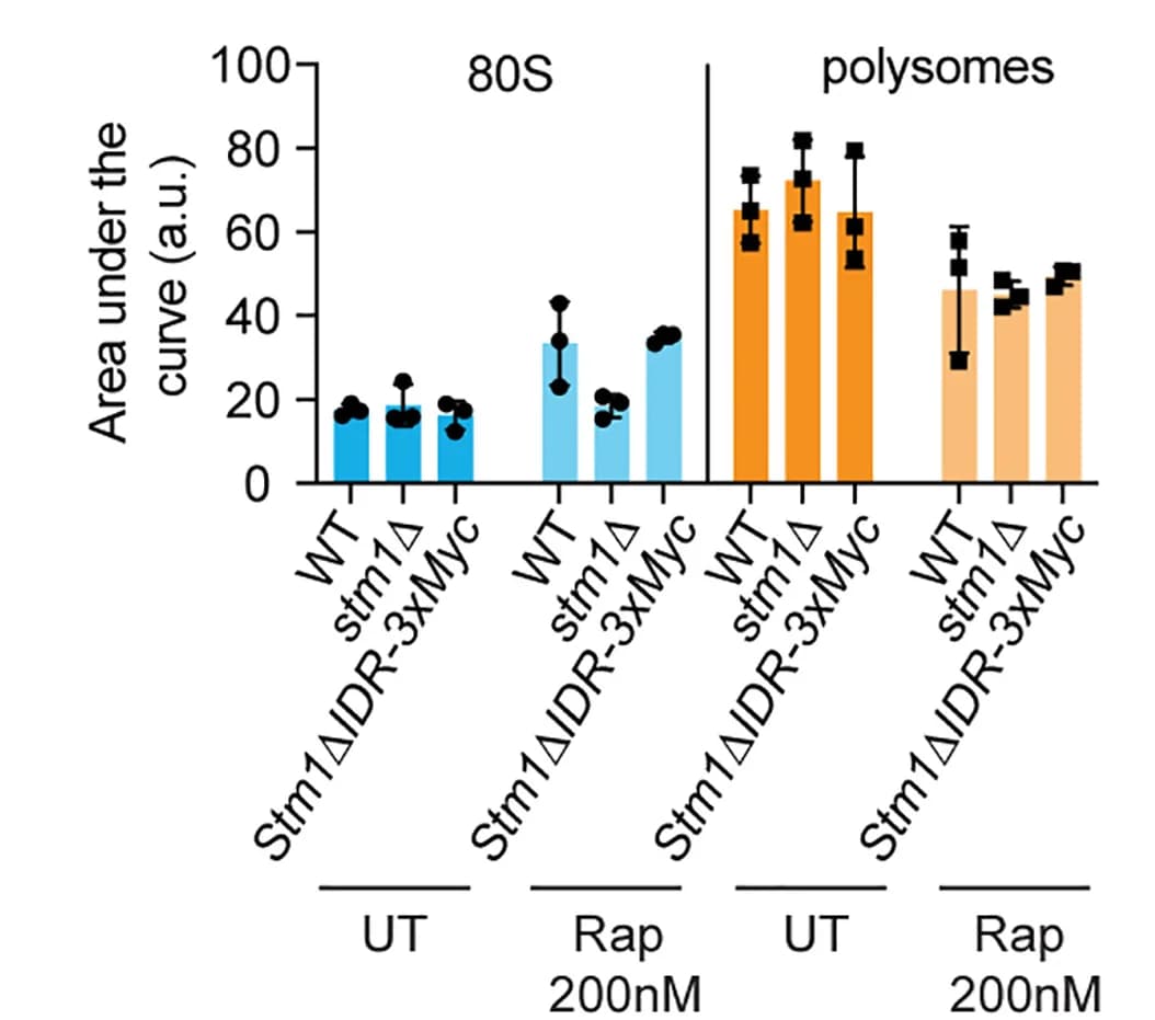 Open access visualization of Bar Plot, Error Bars, 80S Ribosome, Polysomes, Area Under Curve