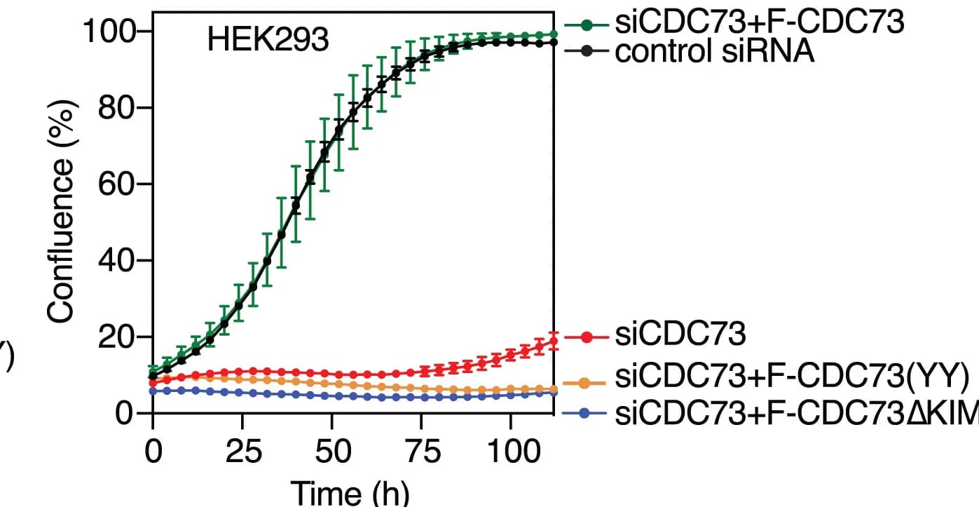 Open access visualization of Line Plot, Error Bars, Cell Confluence, Switchover System, Time Course