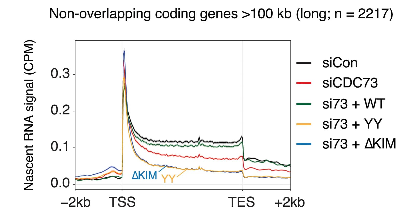Open access visualization of Line Plot, Metagene Analysis, Coding Genes, Nascent RNA, TTchem-seq