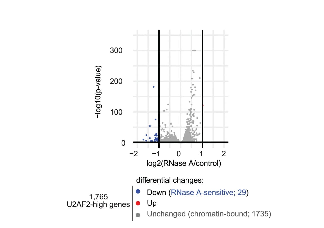 Open access visualization of Volcano Plot, Scatter Plot, U2AF2, RNase A Treatment, Differentially Enriched Genes