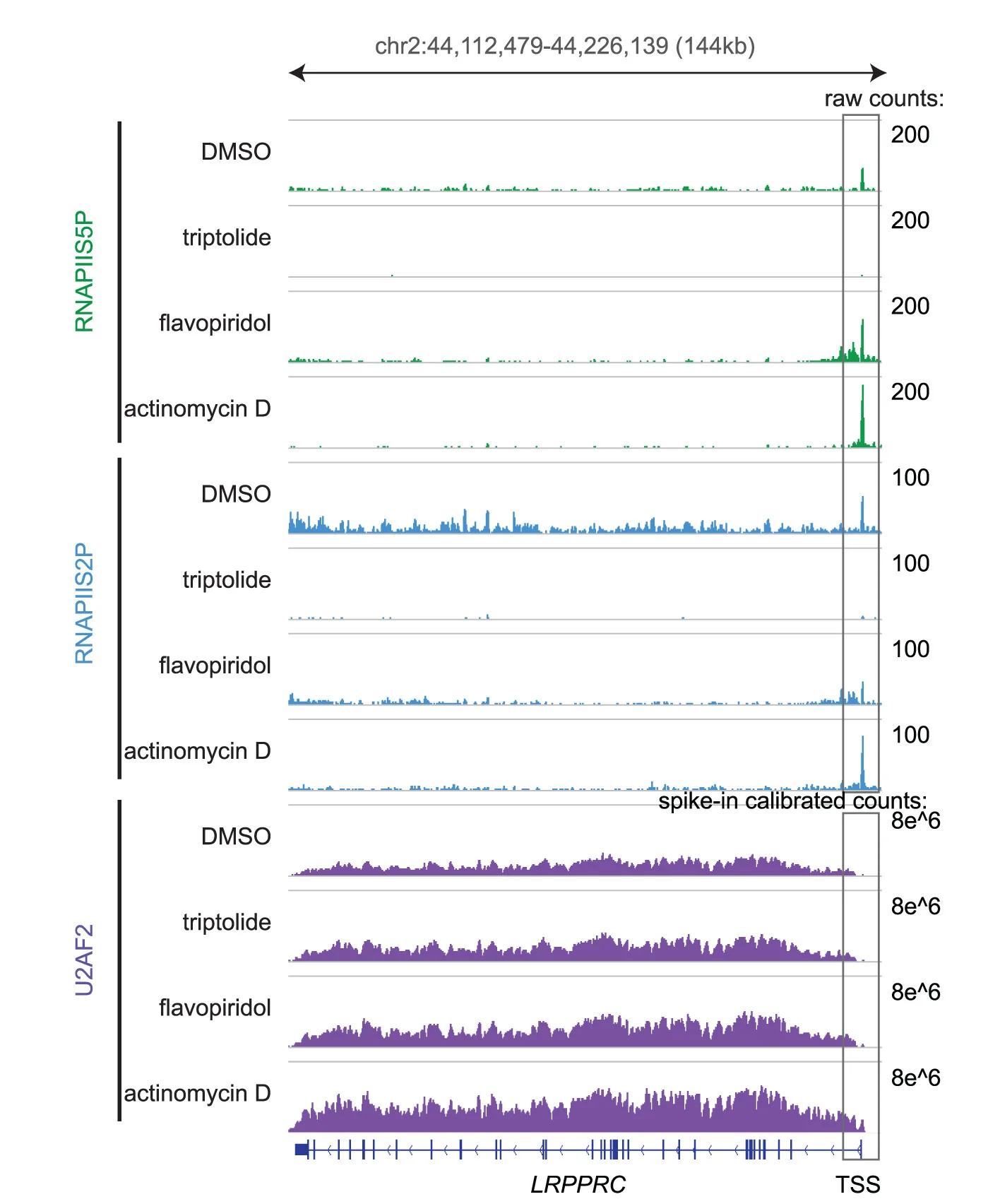 Open access visualization of Line Plot, Density Plot, Browser Track, Raw Counts, RNAPIIS5P