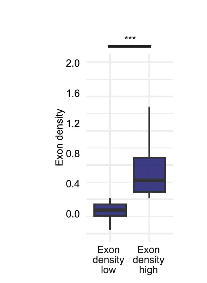 Open access visualization of Box Plot, Boxplots, Exon Density Values, Exon Density-Low Genes, Exon Density-High Genes