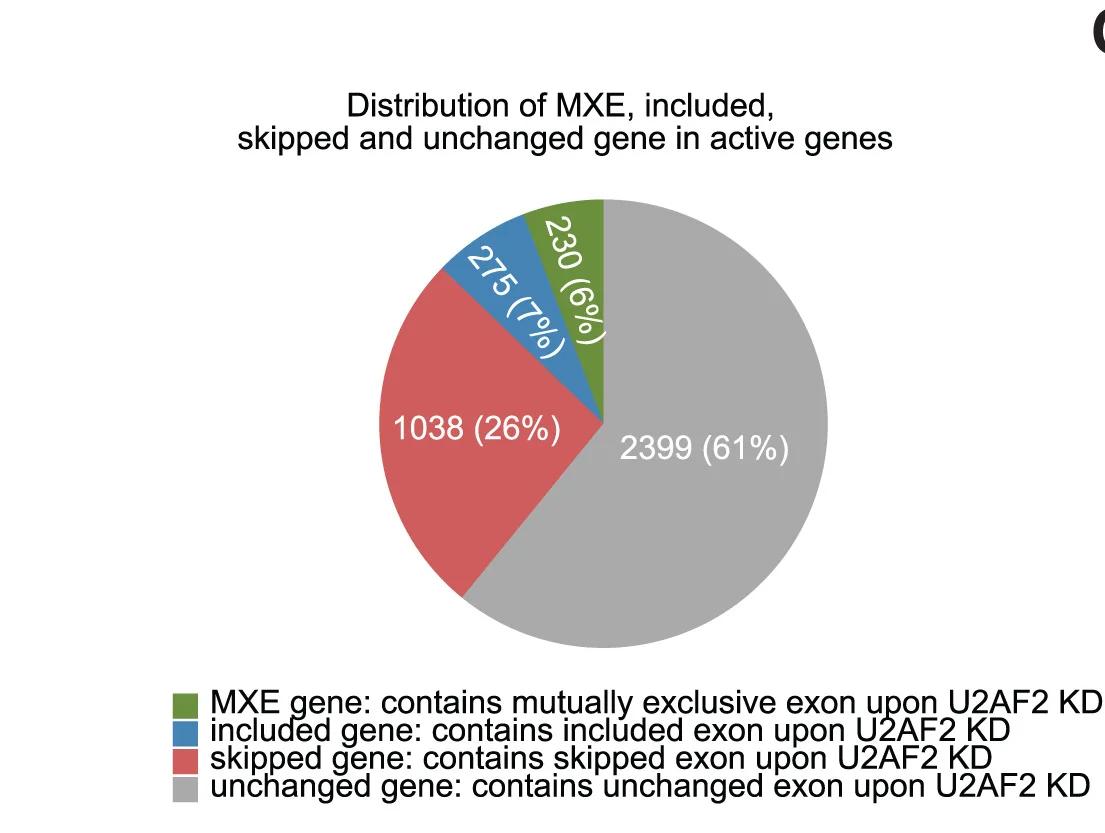 Open access visualization of Pie Chart, Unchanged Genes, Skipped Genes, Included Genes, MXE Genes