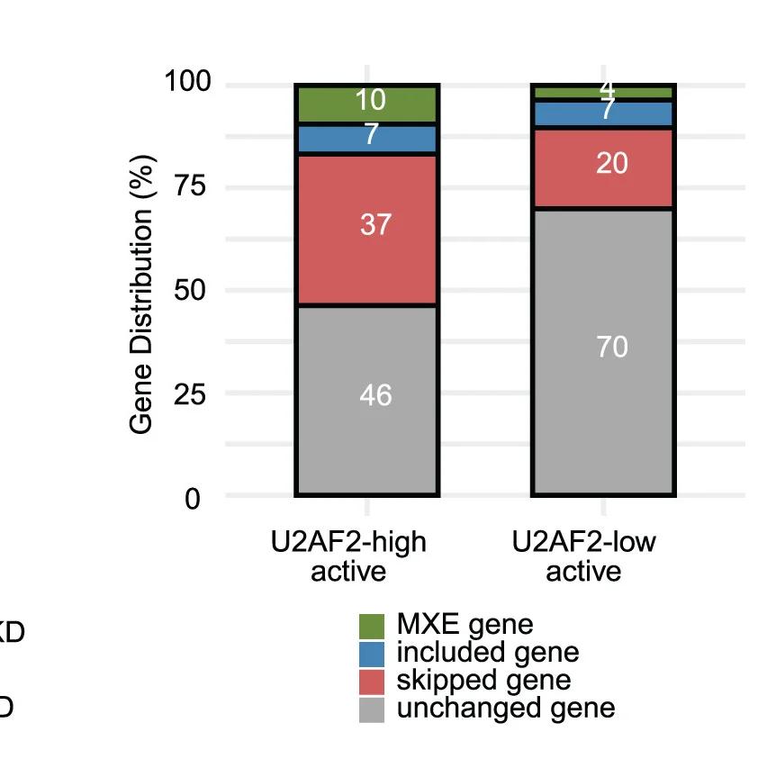 Open access visualization of Stacked Bar Plot, Percentage, Unchanged Genes, Skipped Genes, Included Genes